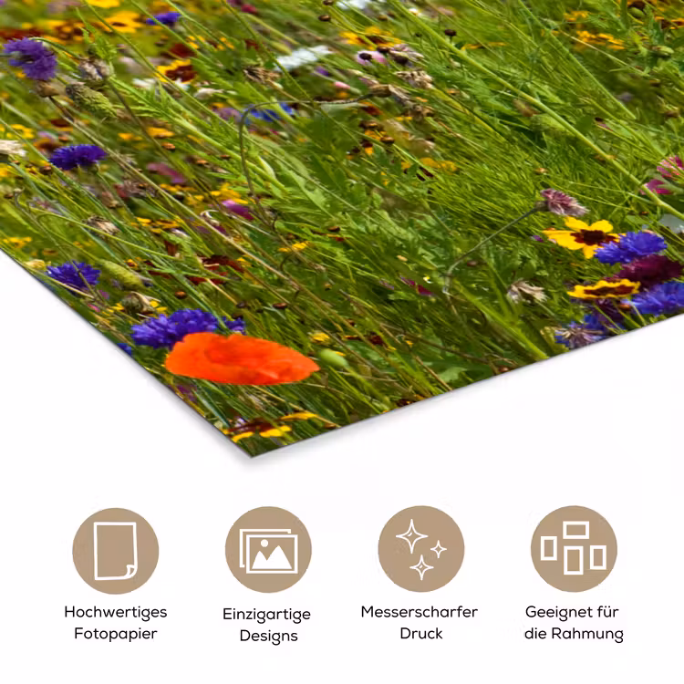 Lente - Bloemen - Rood - Klaproos - Gras - Groen poster papier klein -tcloseup_DE