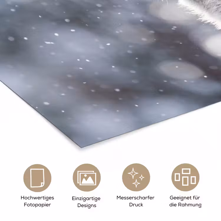 Vos - Sneeuwval - Portret - Winter - Sfeervol poster papier klein -tcloseup_DE