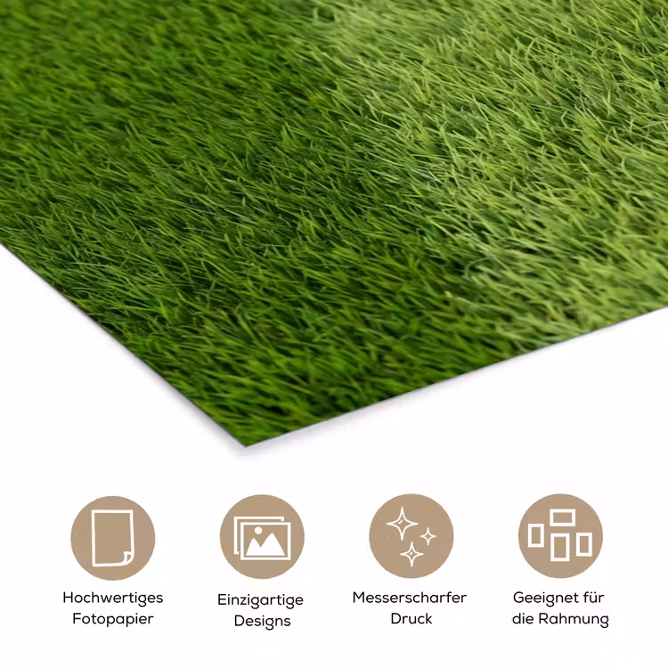 Voetbal - Grasveld - Sport - Groen poster papier klein -tcloseup_DE