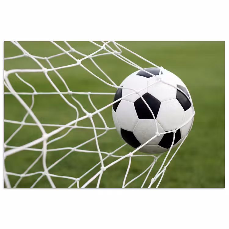 Voetbal - Goal - Net - Sport poster papier klein -3d
