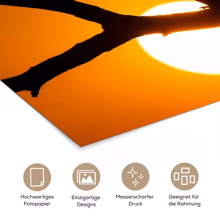 Gier - Tak - Zon - Oranje poster papier klein -tcloseup_DE