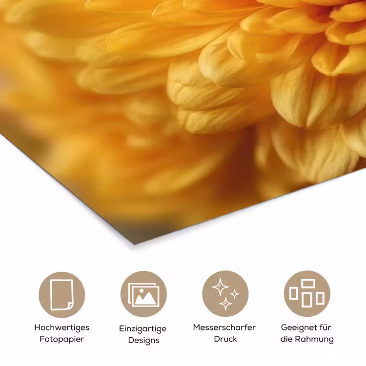 Geel - Chrysant - Zachtheid poster papier klein -tcloseup_DE