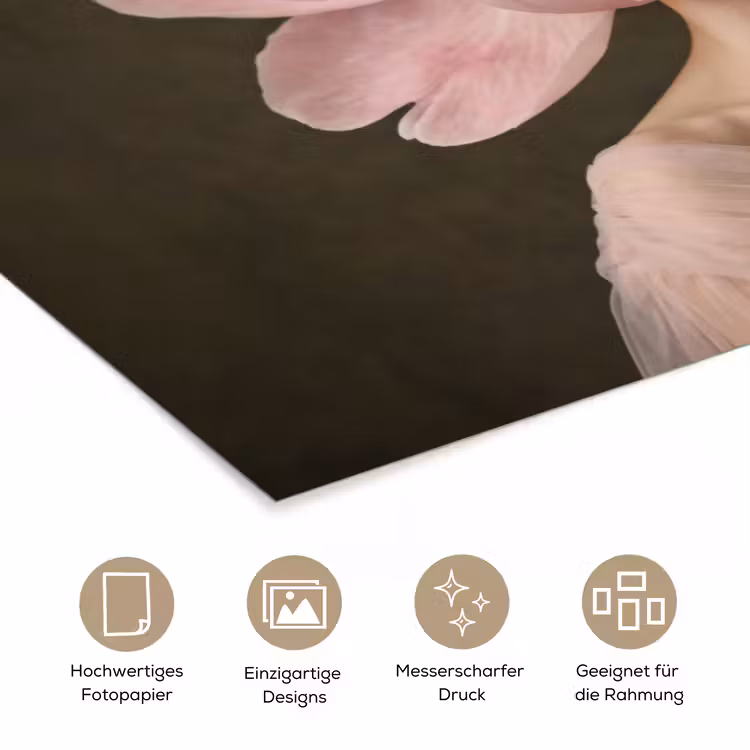 Gezicht - Roos - Roze poster papier klein -tcloseup_DE