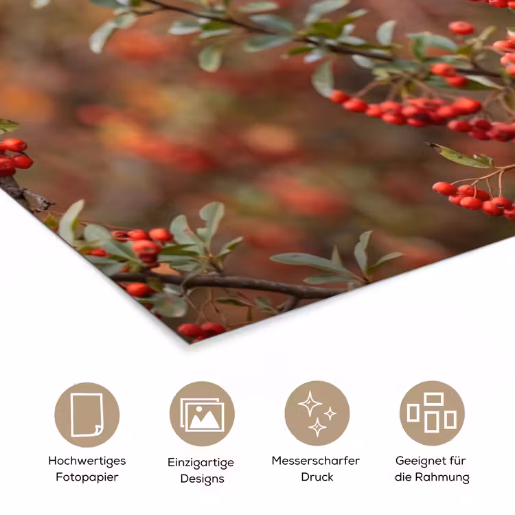 Goudvink - Bessen - Herfst - Natuur - Kleurrijk poster papier klein -tcloseup_DE