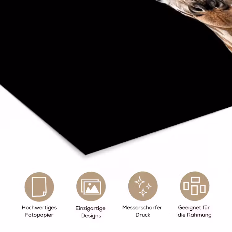 Giraffe - Dieren - Zwart - Portret - Dieren poster papier klein -tcloseup_DE