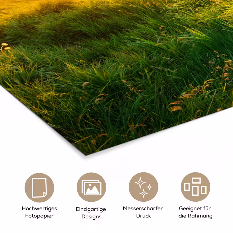 Gras - Heuvels - Zon - Natuur - Landschap poster papier klein -tcloseup_DE