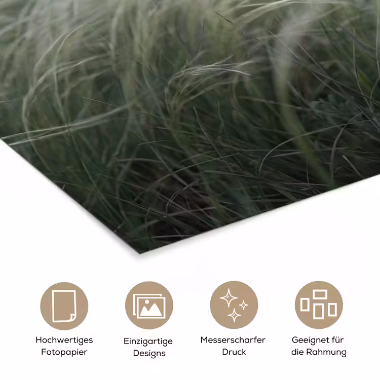 Gras - Wazig - Natuur - Groen - Zacht poster papier klein -tcloseup_DE