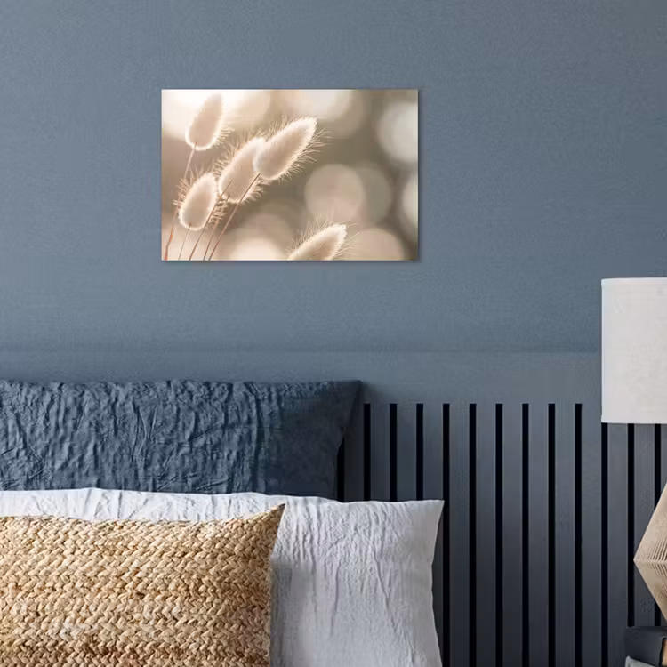 Hazestaartgras - Wit - Zonlicht poster papier klein -sfeer2