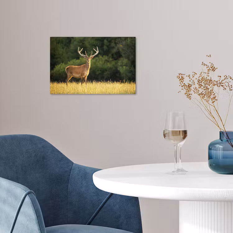 Hert - Gewei - Gras - Natuur - Dieren - Groen poster papier klein -sfeer3
