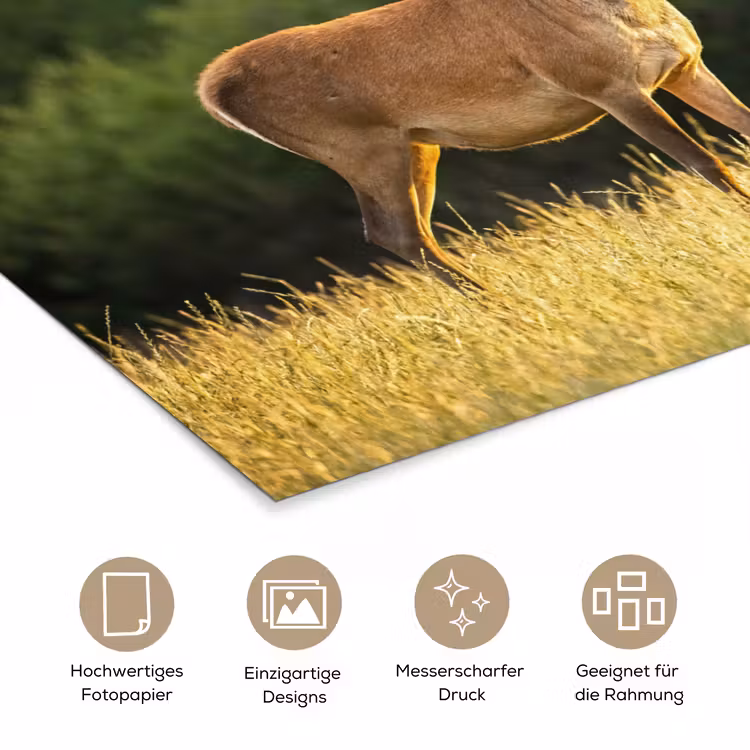Hert - Gewei - Gras - Natuur - Dieren - Groen poster papier klein -tcloseup_DE