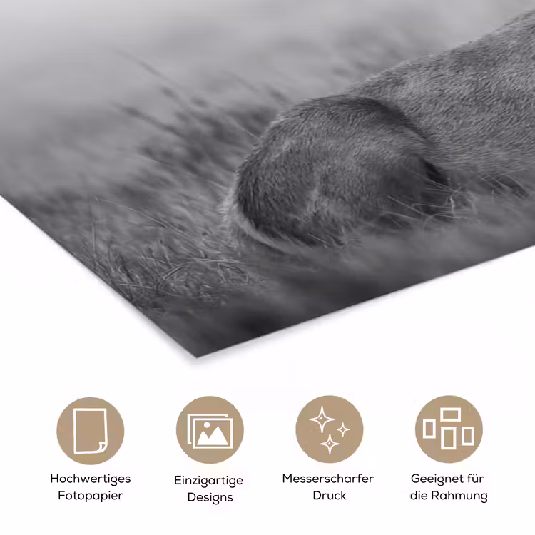 Hert - Mistig - Zwart - Wit poster papier klein -tcloseup_DE