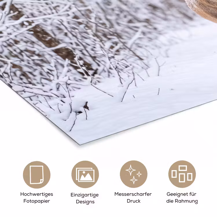 Hert - Winter - Bos - Natuur - Wit poster papier klein -tcloseup_DE