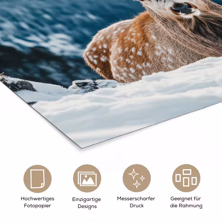 Hert - Landschap - Winter - Natuur - Dieren - Bergen poster papier klein -tcloseup_DE