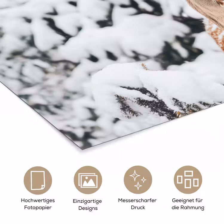 Hert - Sneeuw - Winter - Bos - Dieren poster papier klein -tcloseup_DE
