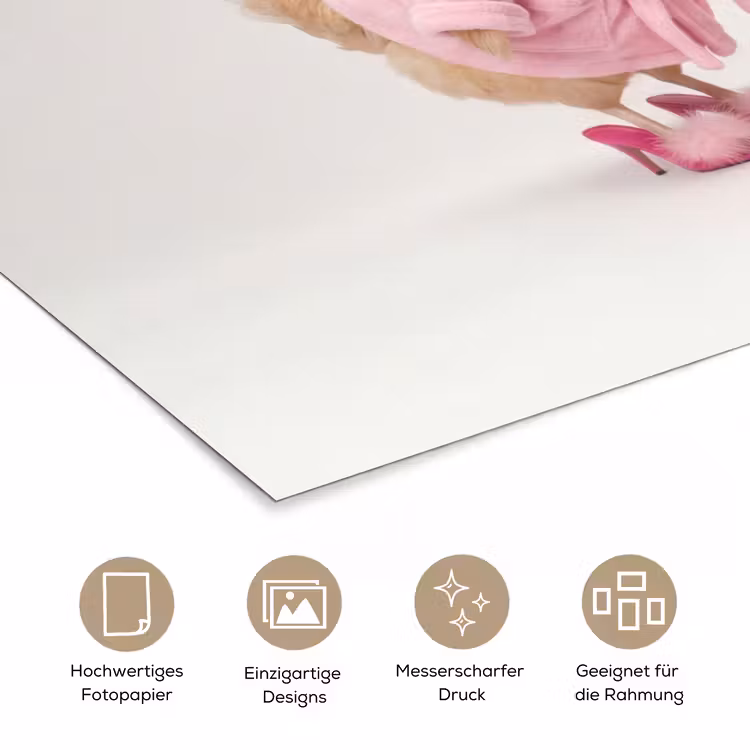Kippen - Badjas - Krukspelden - Hakken poster papier klein -tcloseup_DE