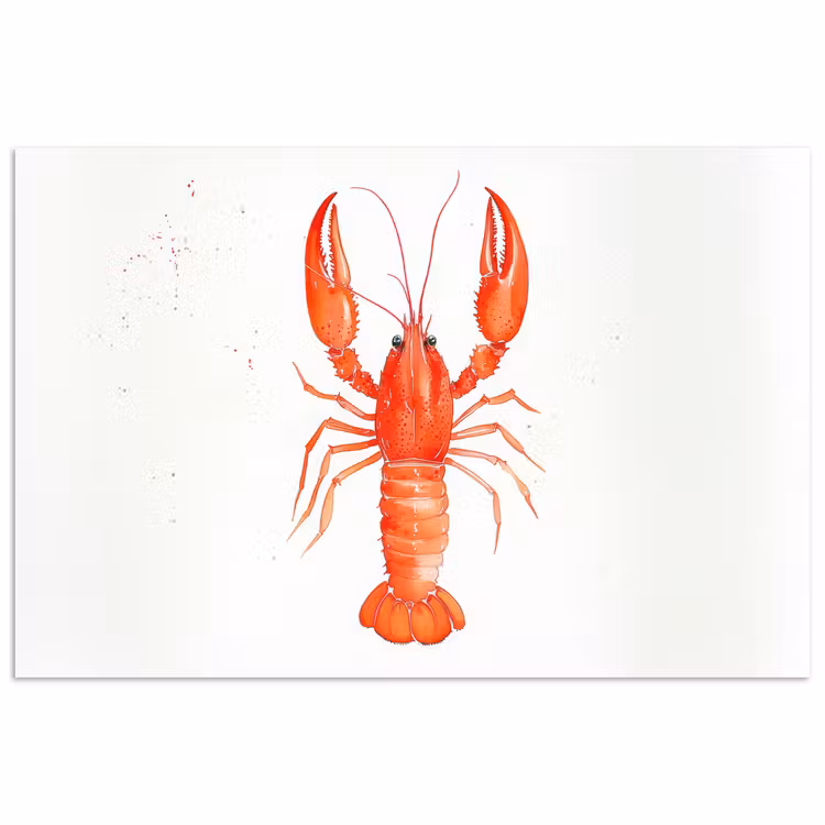 Kreeft - Waterverf - Aquarel - Oranje poster papier klein -3d