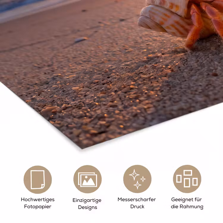 Kreeft - Strand - Natuur - Zonsondergang - Oranje poster papier klein -tcloseup_DE