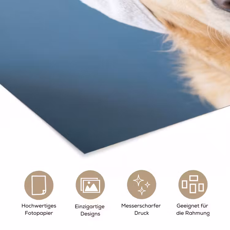 Hond - Badeend - Geel poster papier klein -tcloseup_DE