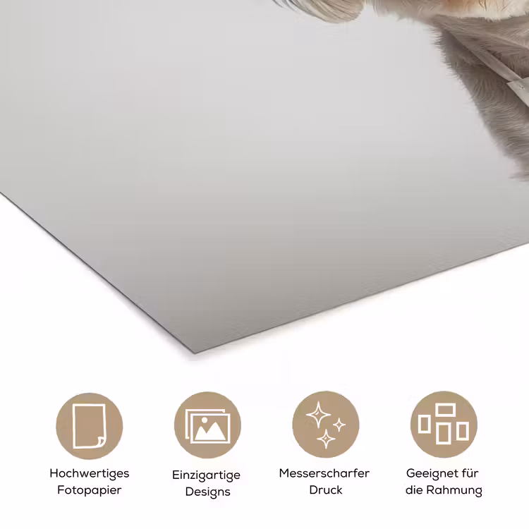 Hond - Wit - Kok poster papier klein -tcloseup_DE