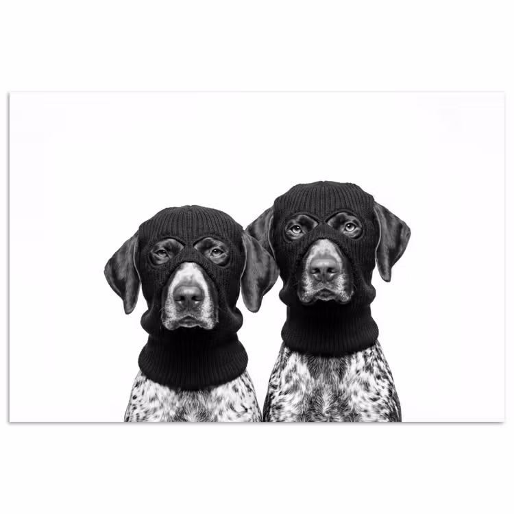Honden - Bivakmuts - Zwart - wit poster papier klein -3d