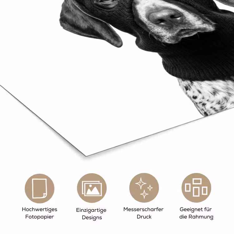 Honden - Bivakmuts - Zwart - wit poster papier klein -tcloseup_DE