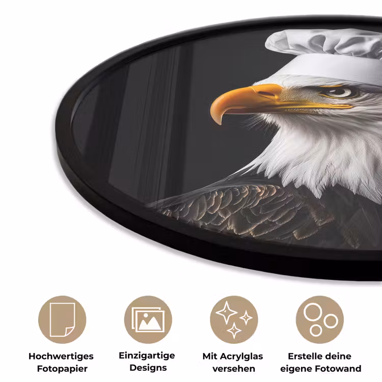 Arend -Amerika - Koksmuts - Vogel - Stoer Fotolijst rond zonder passe partout klein -closeup_DE