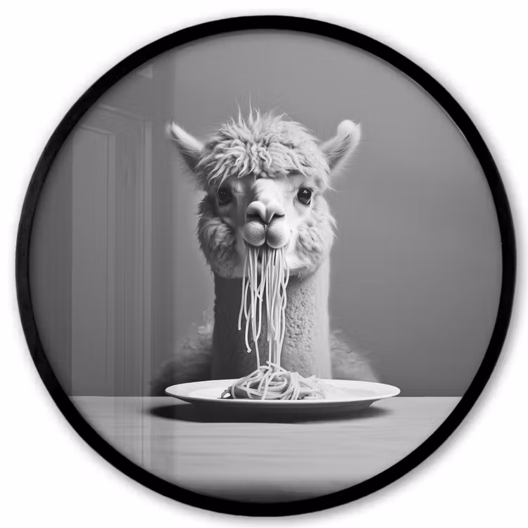 Alpaca - Pasta - Zwart - Wit - Grappig - Dieren Fotolijst rond zonder passe partout klein -3d