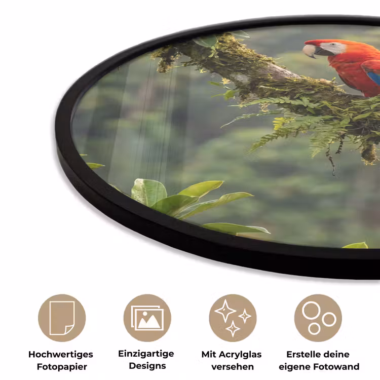 Ara - Jungle - Rood Fotolijst rond zonder passe partout klein -closeup_DE