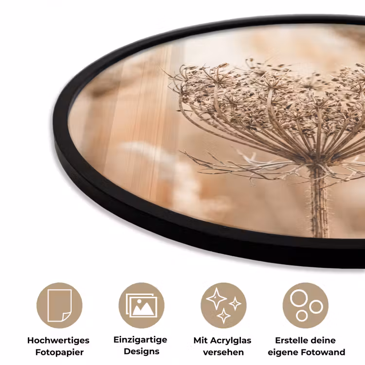 Schermbloem - Droogbloem - Winter - Beige - Minimalistisch Fotolijst rond zonder passe partout klein -closeup_DE