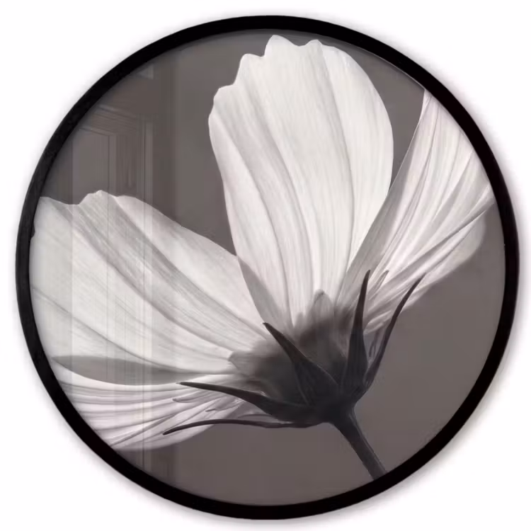 Bloem - Minimalistisch - Zwart - Wit Fotolijst rond zonder passe partout klein -3d