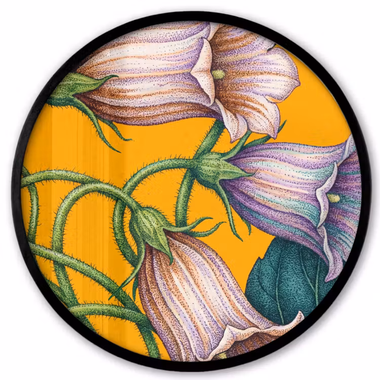 Poster im Rahmen Rund - Blumen – Botanik – Gelb - Bloemen - Botanisch - Geel Fotolijst rond zonder passe partout klein