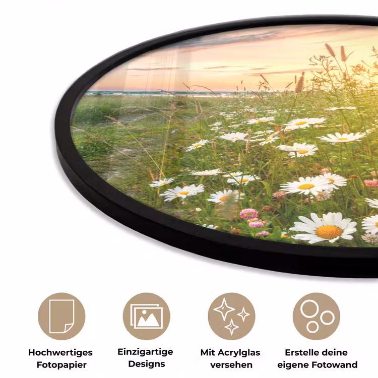 Bloemen - Madelief - Natuur - Zon - Horizon Fotolijst rond zonder passe partout klein -closeup_DE