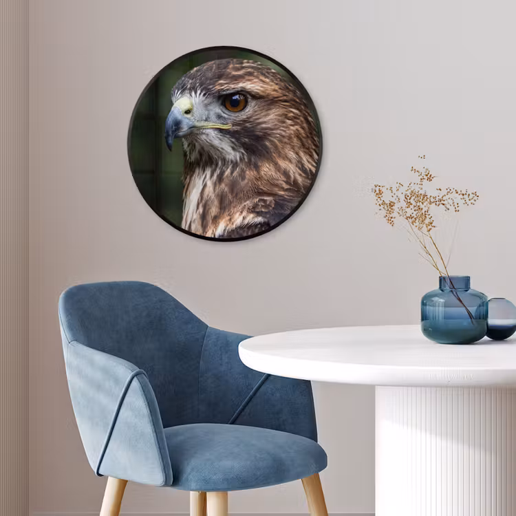Buizerd - Roofvogel - Natuur - Bruin Fotolijst rond zonder passe partout klein -sfeer2