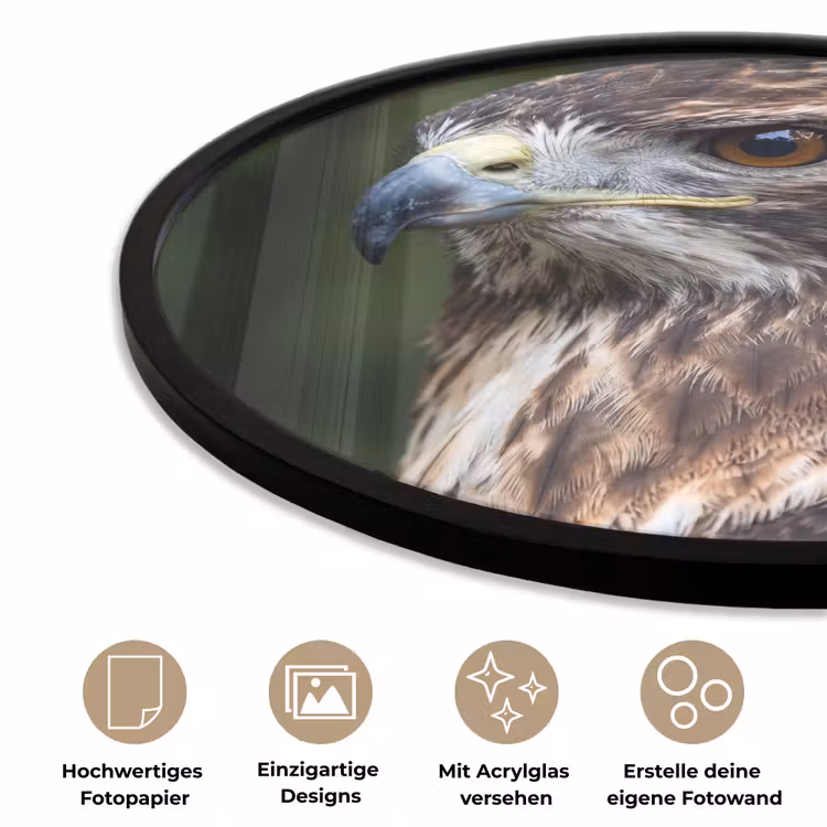 Buizerd - Roofvogel - Natuur - Bruin Fotolijst rond zonder passe partout klein -closeup_DE