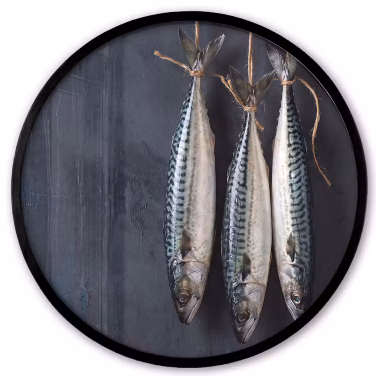 Poster im Rahmen Rund - Drei Fische – Seil - Drie vissen - Touw Fotolijst rond zonder passe partout klein