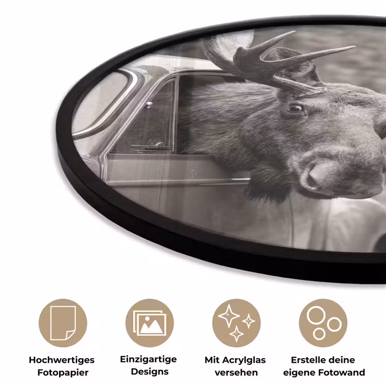 Eland - Auto - Gewei - Zwart - Wit Fotolijst rond zonder passe partout klein -closeup_DE