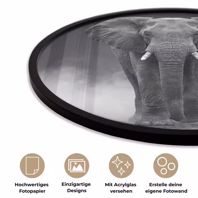 Olifant - Zwart - Wit - Rook Fotolijst rond zonder passe partout klein -closeup_DE