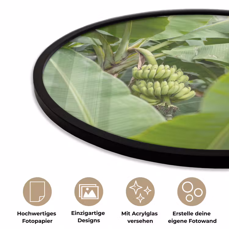 Eten - Bananen - Plantage - Groen Fotolijst rond zonder passe partout klein -closeup_DE