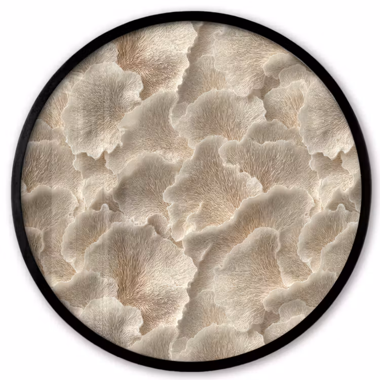 Waaierstructuren - Beige - Vezeltextuur Fotolijst rond zonder passe partout klein 856 -3d