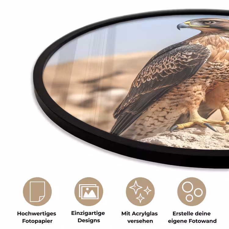 Valk - Vogel - Rots - Macht Fotolijst rond zonder passe partout klein -closeup_DE