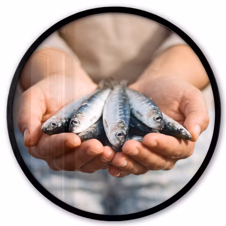 Poster im Rahmen Rund - Fisch – Hände – Natur - Vis - Handen - Natuur Fotolijst rond zonder passe partout klein