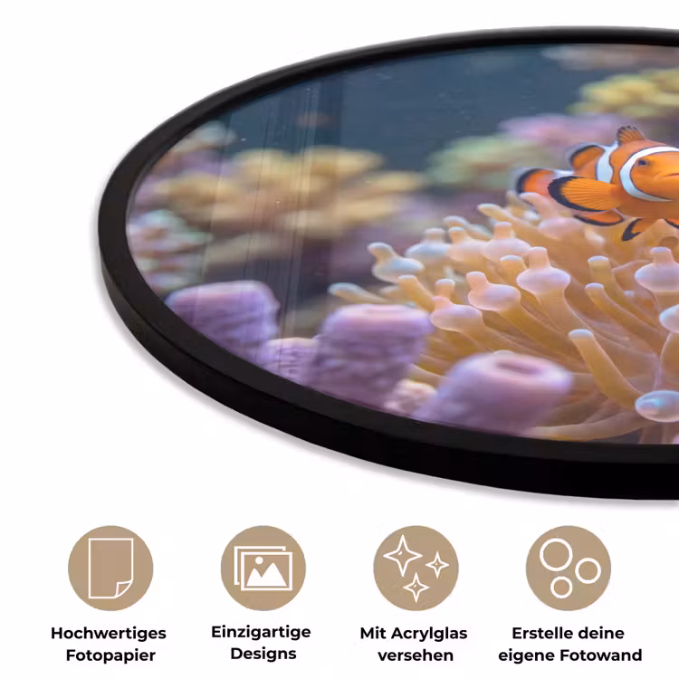 Vis - Koraal - Onderwater - Oranje - Dieren Fotolijst rond zonder passe partout klein -closeup_DE