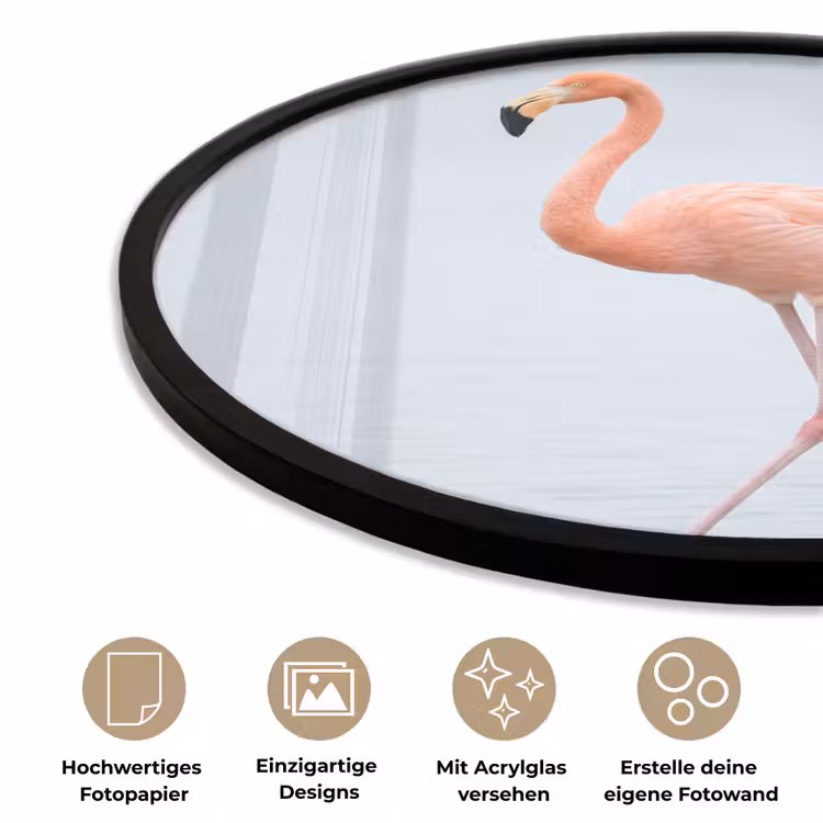 Flamingo - Zee - Roze Fotolijst rond zonder passe partout klein -closeup_DE