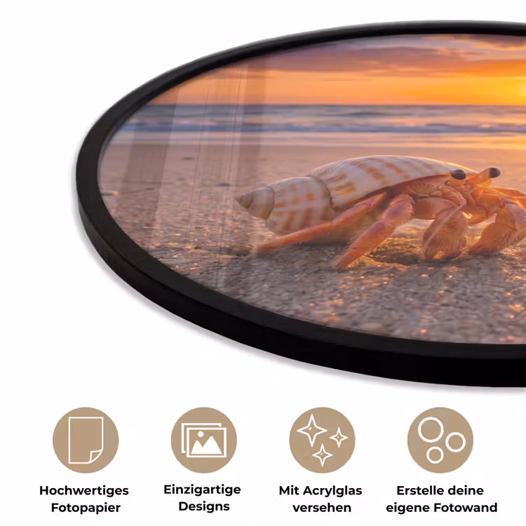 Kreeft - Strand - Natuur - Zonsondergang - Oranje Fotolijst rond zonder passe partout klein -closeup_DE