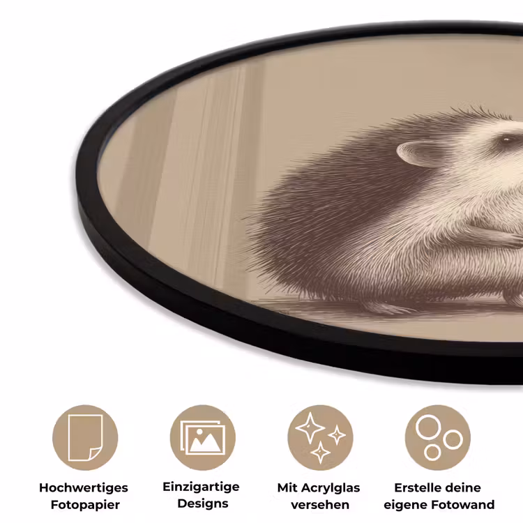 Egel - Snuitje - Bruin - Stekels Fotolijst rond zonder passe partout klein -closeup_DE