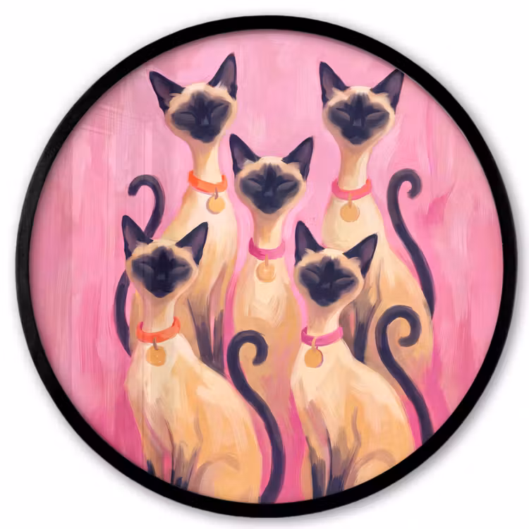 Kat - Groep - Dieren - Modern - Roze Fotolijst rond zonder passe partout klein -3d