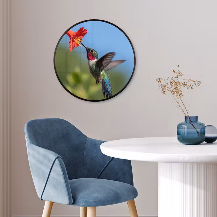 Kolibrie - Bloem - Natuur - Groen Fotolijst rond zonder passe partout klein -sfeer2