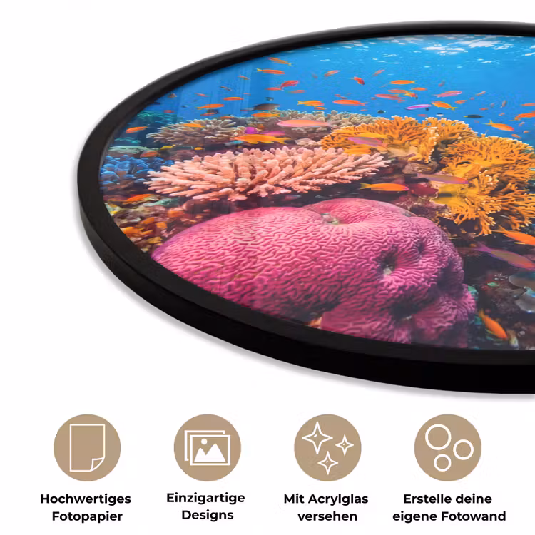 Koraal - Vissen - Oceaan - Natuur - Kleurrijk Fotolijst rond zonder passe partout klein -closeup_DE