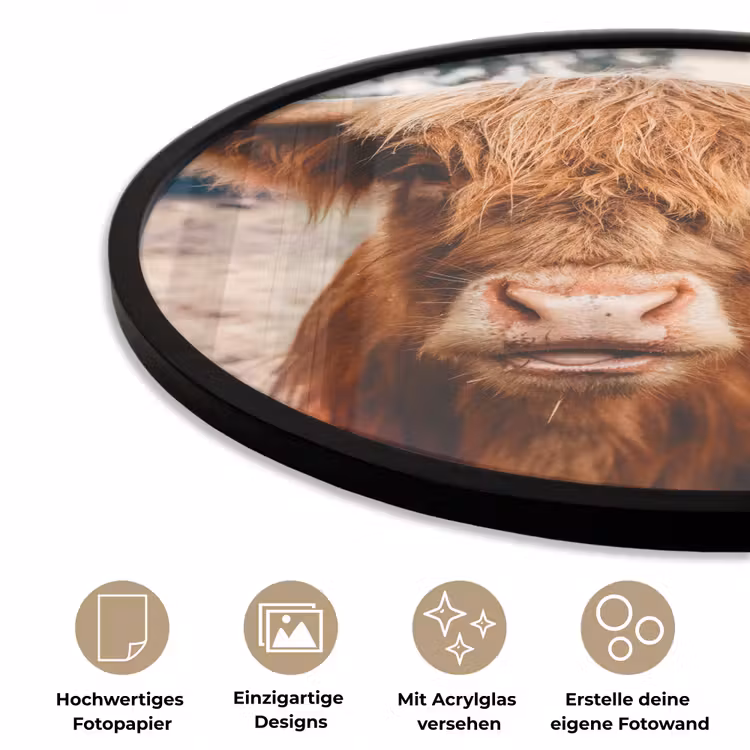 Koe- Schotse hooglander - Hoorns - Bruin - Landschap Fotolijst rond zonder passe partout klein -closeup_DE