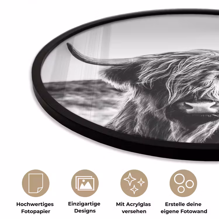 Koe - Schotse hooglander - Zwart - Wit - Dier - Natuur - Wild Fotolijst rond zonder passe partout klein -closeup_DE